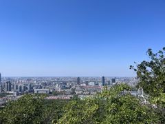 -佛慧山