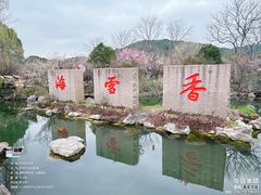 -香雪海