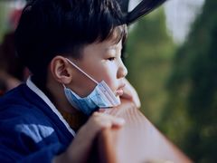 -合肥滨湖国家森林公园