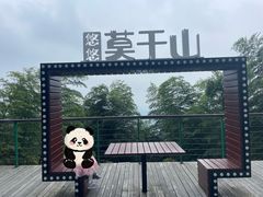 -莫干山风景区