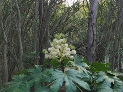 -上海吴淞炮台湾国家湿地公园