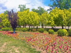 -西青郊野公园