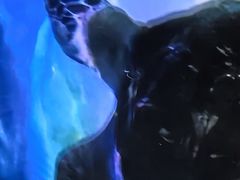 -嘉兴海底世界
