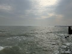 -日照灯塔风景区