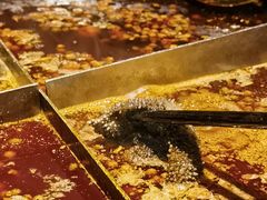 陈眼镜特色毛肚-陈眼镜火锅(总店)