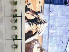 -中国杭州低碳科技馆