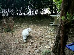 -大钟寺古钟博物馆