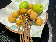 -季季山·云南野生菌火锅(上海首店)