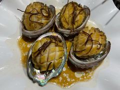 果皮鲍鱼-强记海鲜·大排档(蛇口新街店)