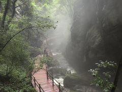 -牛背梁国家森林公园