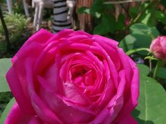 -嘉德美润儿童之家