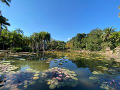 -中国科学院西双版纳热带植物园