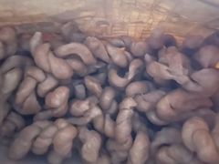 -南塘油赞子(南塘店)