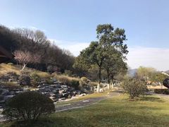 -陶祖圣境风景区