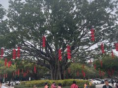 -广州莲花山旅游区