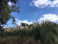 -上海山野camping·户外天幕烧烤·团建拓展营地