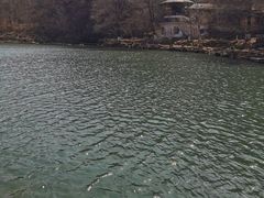 -本溪水洞