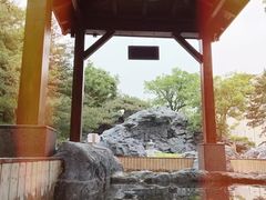 -和园景逸大酒店朗月汤泉