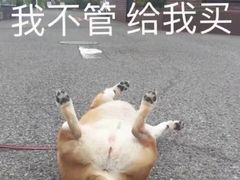 -满江红串串香(七道堰街店)