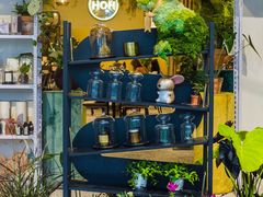 -PlantsEatery·植物食堂(REX春熙店)