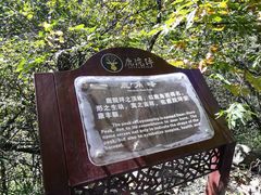 -鹿院坪生态旅游景区