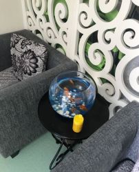 -净妍美肌专业净毛嫩肤连锁机构