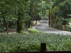 -广州市白云山风景名胜区