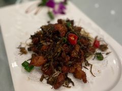 -碧丽宫大酒店(召稼楼店)