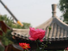-三里河公园