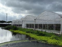 -马陆小张葡萄园农家乐