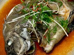 -新海利海鲜城·41年珠海老字号(夏湾店)