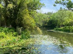 -西溪国家湿地公园