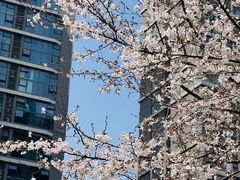 -龙湖南京江北天街