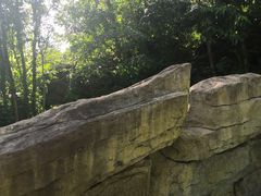 -海口观澜湖火山温泉谷