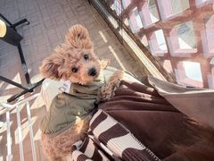 -宠物星动物医院·眼科·异宠·猫科(江南大道总院)