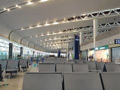 -合肥新桥国际机场-航站楼