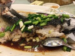 -骏丰酒楼(黄编店)