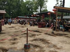 -大槐树寻根祭祖园