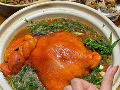 -金龙·打边炉(南京西路店)