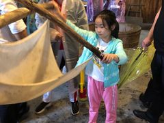 -溱湖国家湿地公园