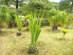 -东莞植物园