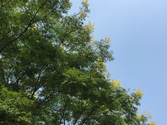 -二中酸辣汤(无锡梁溪区店)