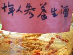 -果松木炭酸菜铜火锅·外婆参鸡汤