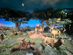 -国家自然博物馆