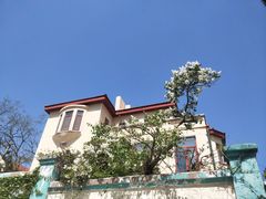 -龍歌自助小火锅(市南金茂湾店)