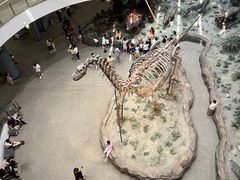 -辽宁古生物博物馆