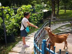 -上海滴水湖皇冠假日酒店