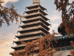 -北京石刻艺术博物馆