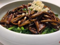 -冶春茶社(星汉大厦店)