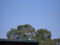 -平乐古镇